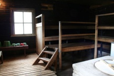 Metsis 